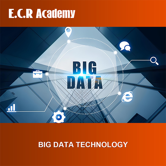 Big Data Technology